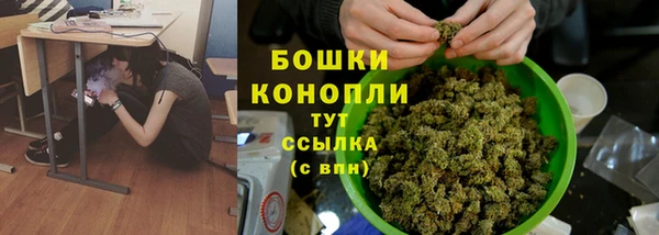шишки Инсар