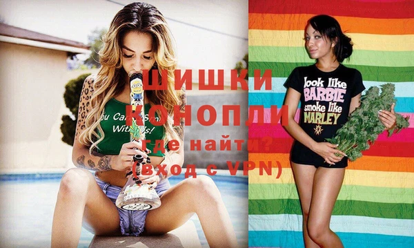 МДПВ Инта