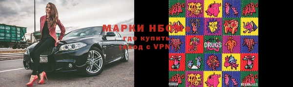 шишки Инсар