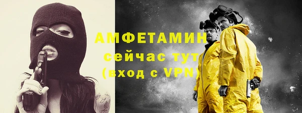шишки Инсар