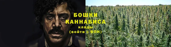 МДПВ Инта