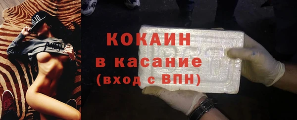 шишки Инсар