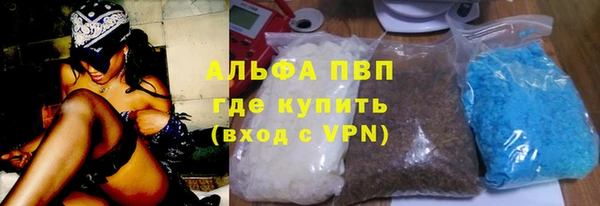 шишки Инсар