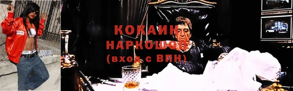 МДПВ Инта