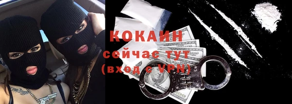 МДПВ Инта