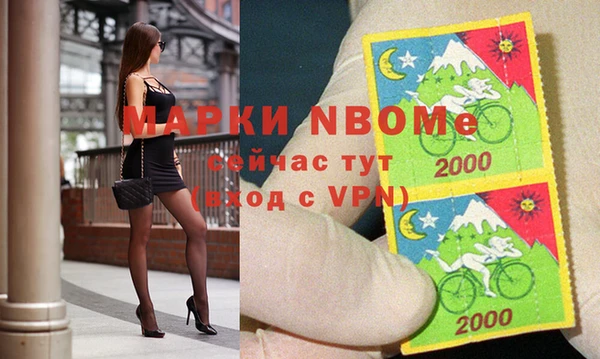 шишки Инсар
