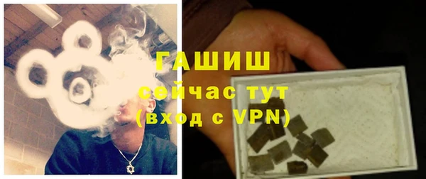 шишки Инсар