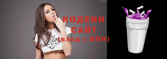 шишки Инсар