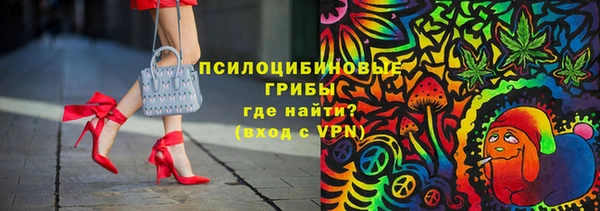 шишки Инсар
