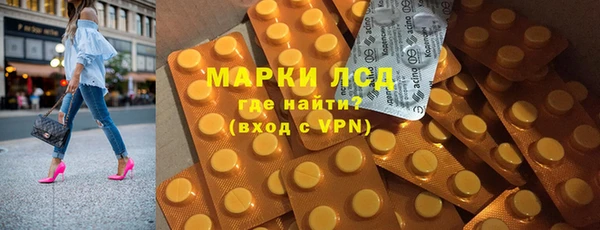 шишки Инсар