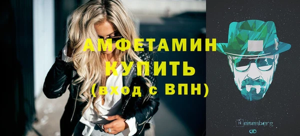 шишки Инсар
