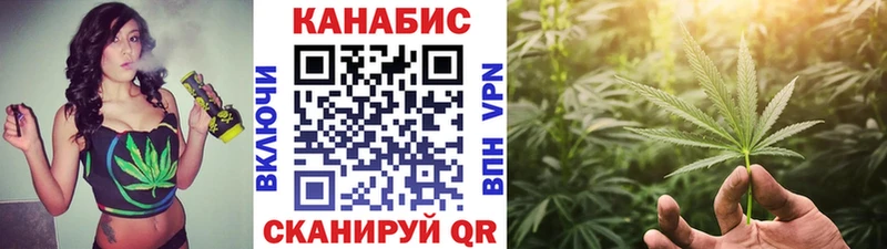 Купить где Дедовск МАРИХУАНА ГИДРОПОН